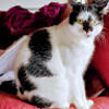 john_bushong